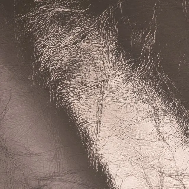 Ткань Studioart The Specialties Leathers Tesoro bronzo