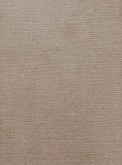 Ткань Altrenotti Sartoria Vela-01