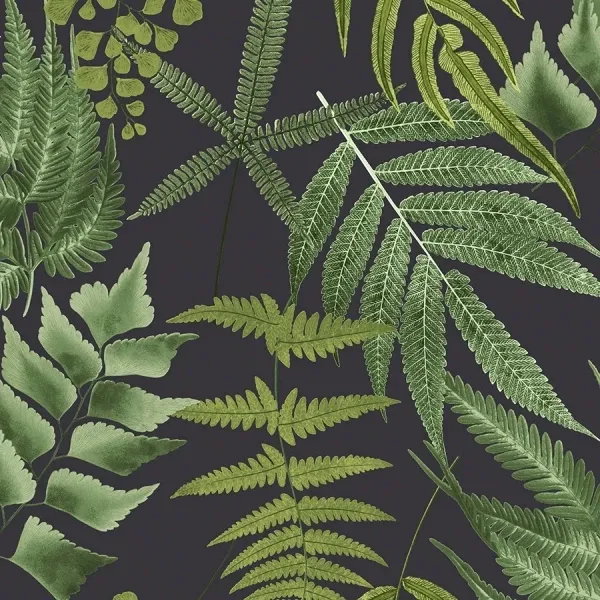 Обои для стен Graham & Brown Explorer 107879