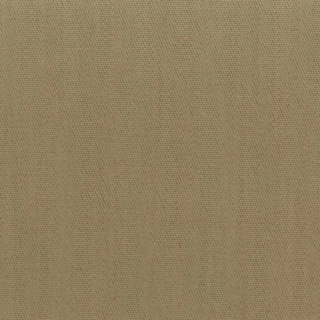 Ткань Rubelli Trench 7989_12