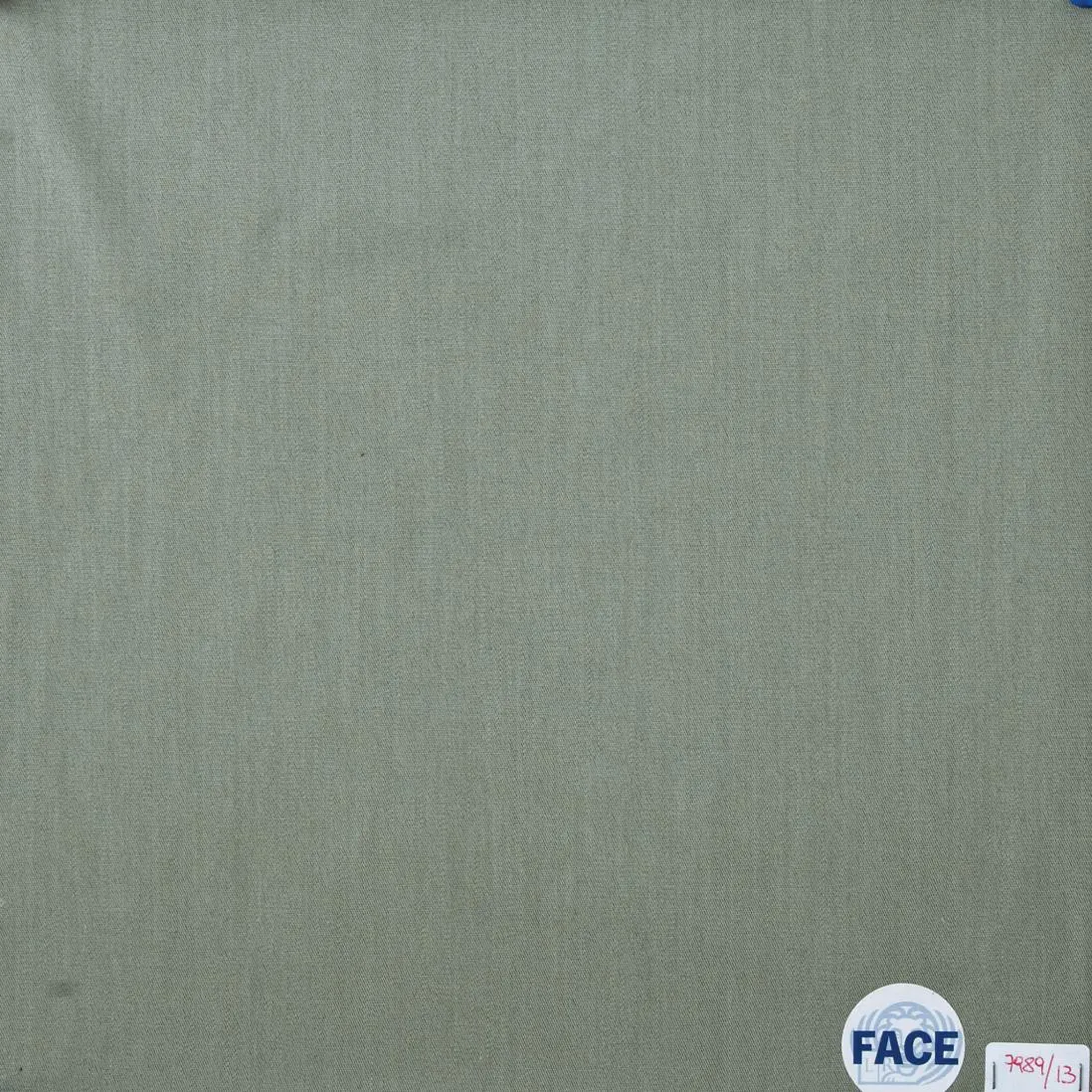 Ткань Rubelli Trench 7989_13