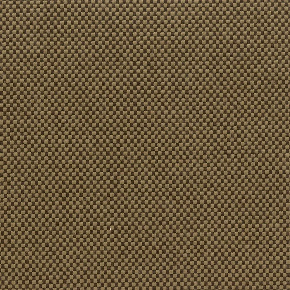 Ткань Rubelli Tweed 7987_3