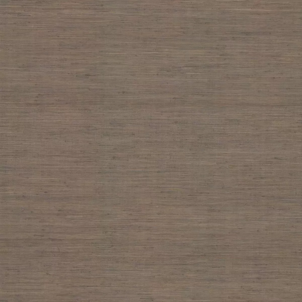 Обои для стен Ronald Redding Traveler og0516