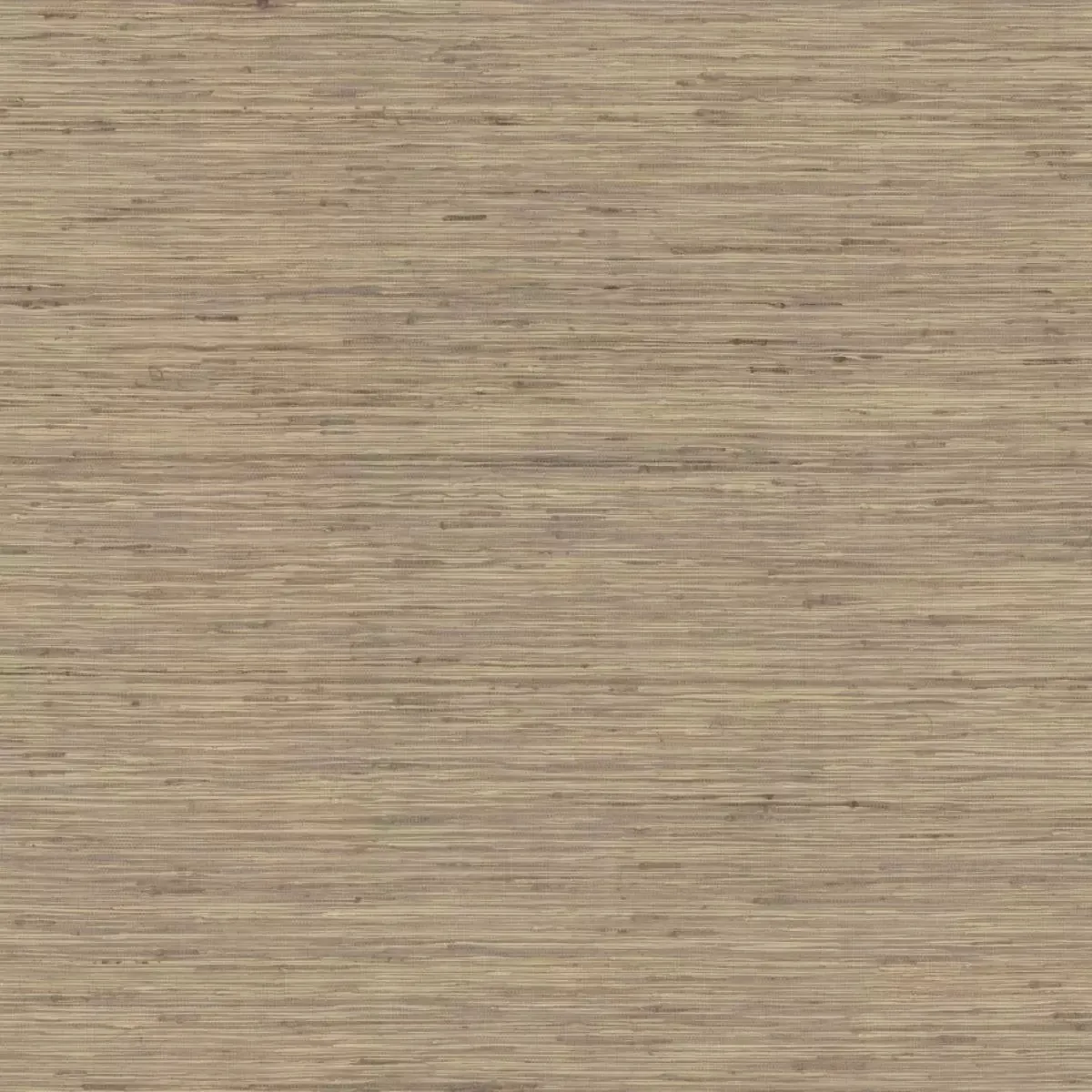 Обои для стен Ronald Redding Traveler og0517