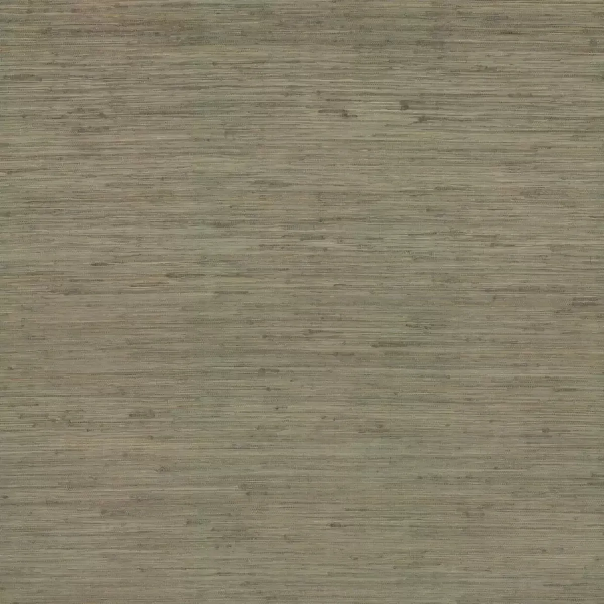 Обои для стен Ronald Redding Traveler og0519