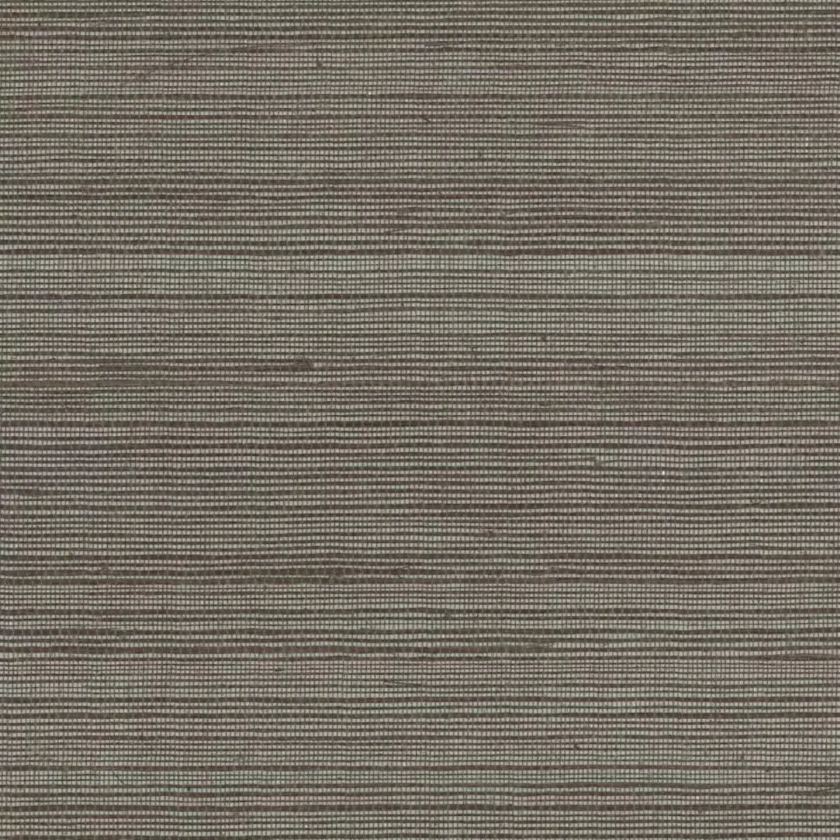 Обои для стен York Wallcoverings Black&White vg4418 #1