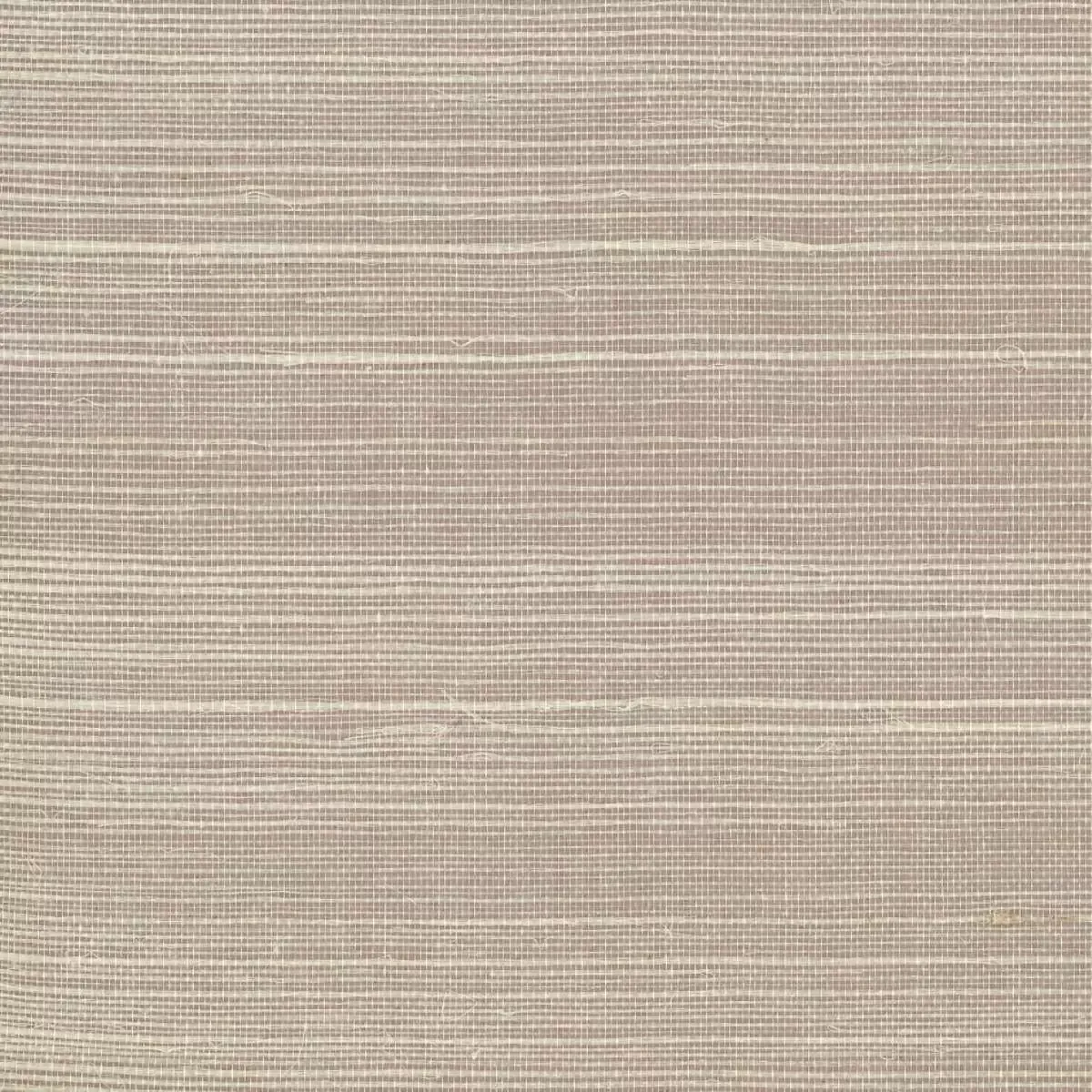 Обои для стен York Wallcoverings Tropics vg4406