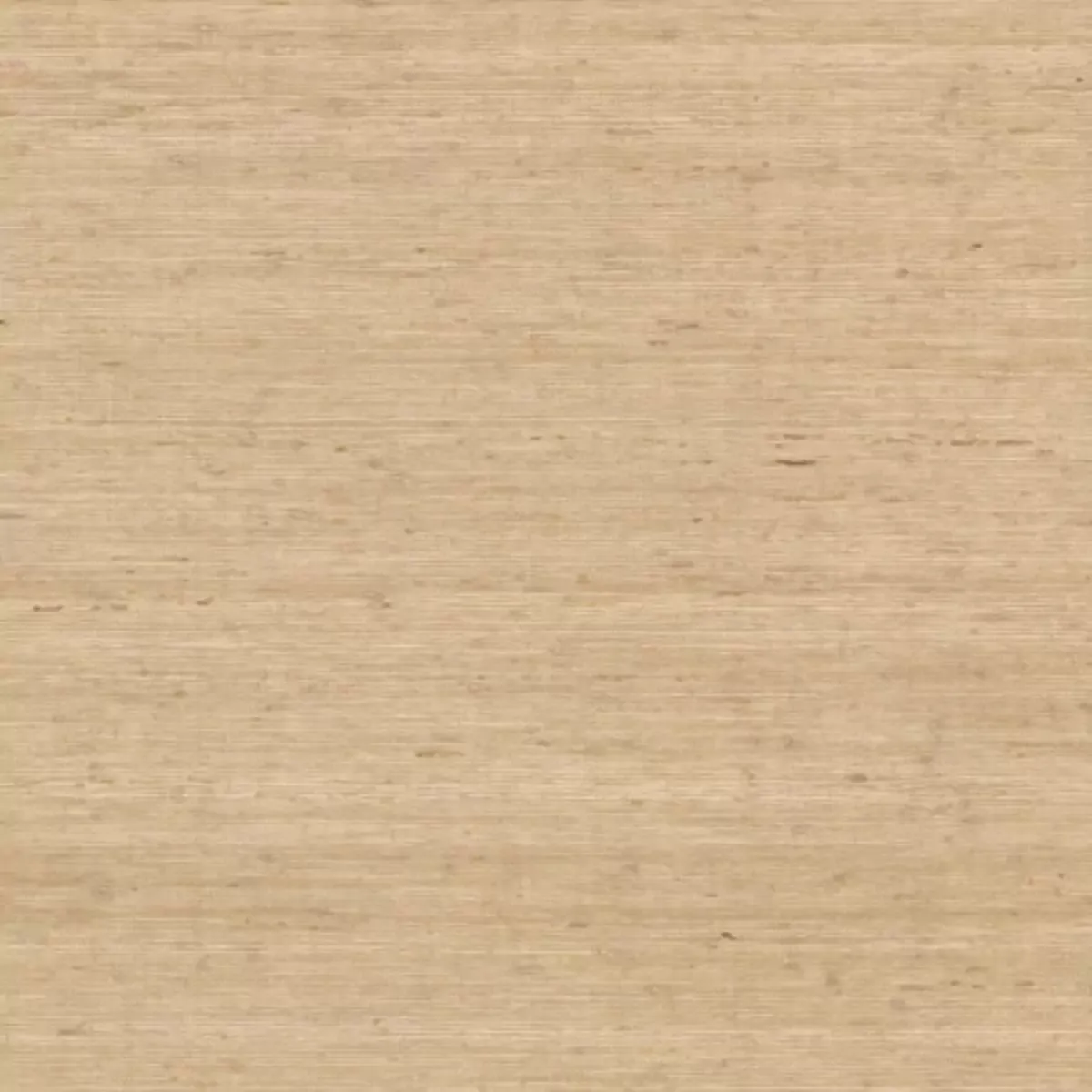 Обои для стен York Wallcoverings Waters Edge cv4401