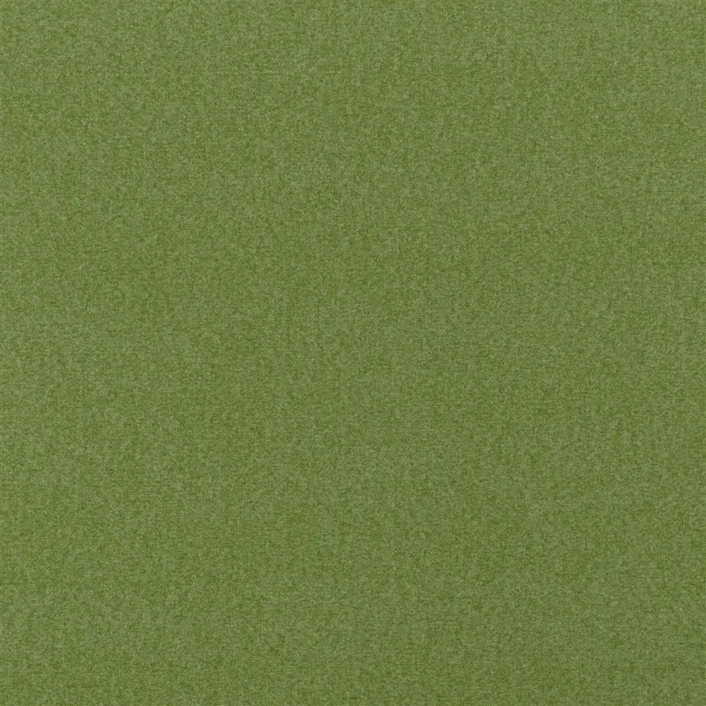 Ткань Designers Guild Loden FDG3009-13