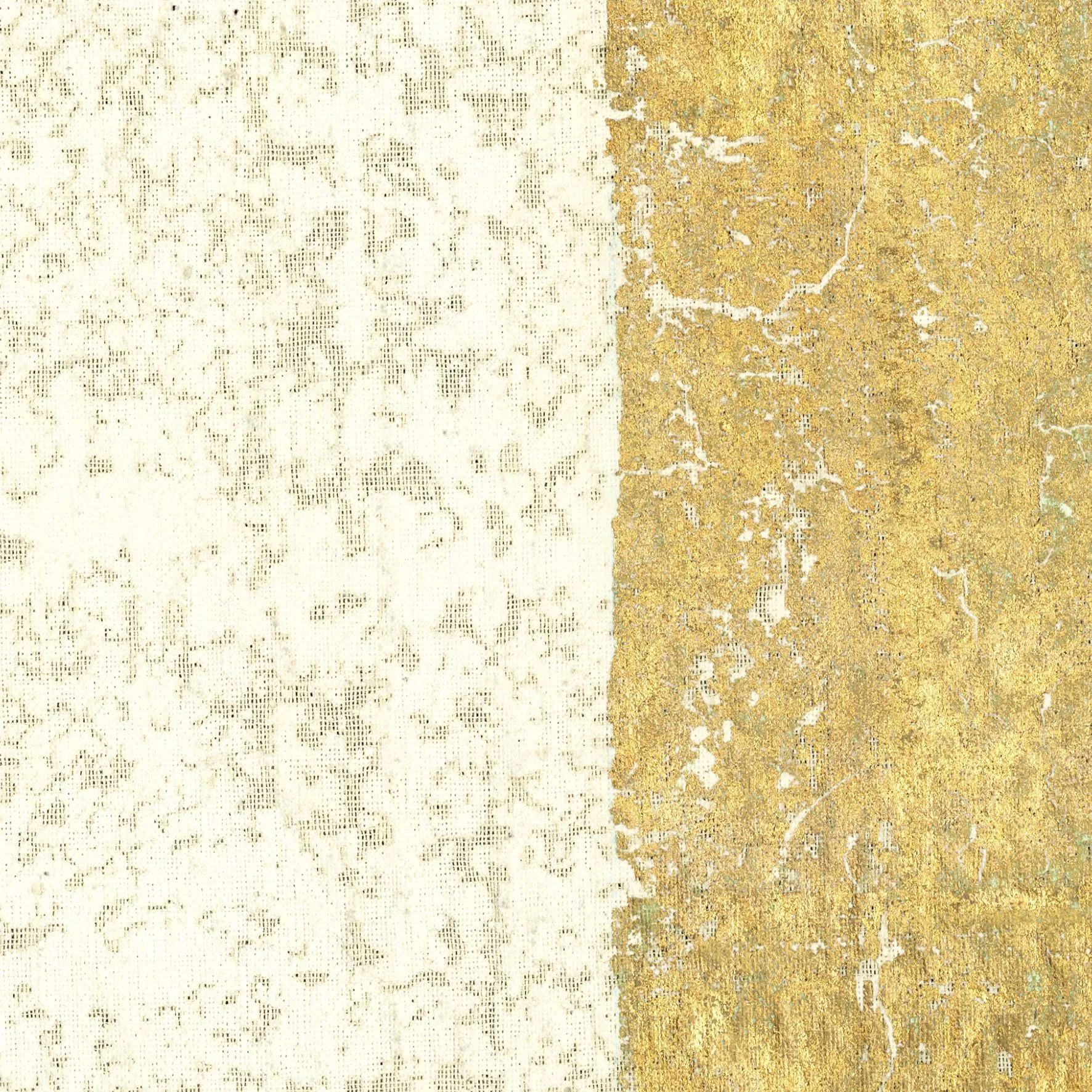 Ткань CMO Paris Gesso FCO_0402