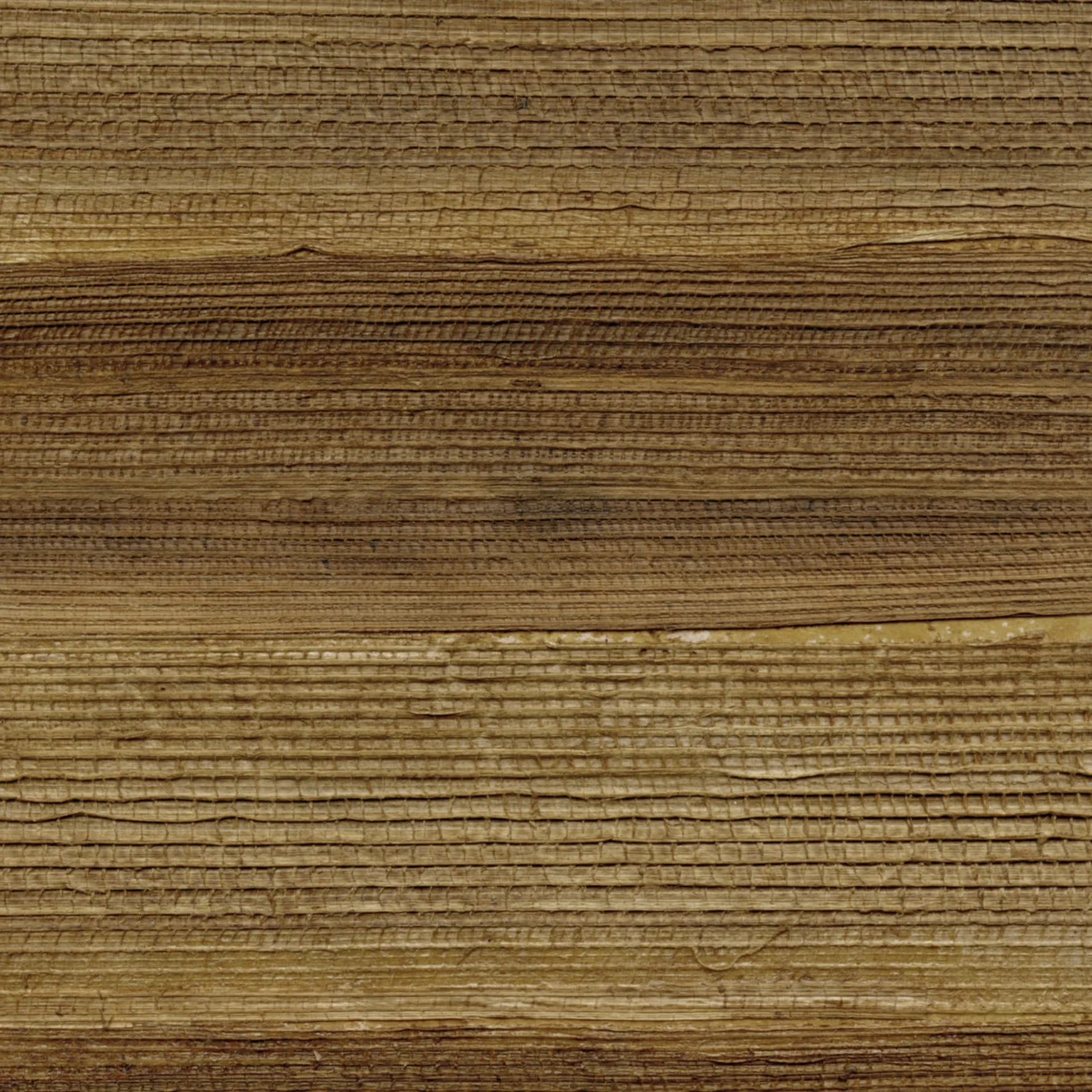 Обои для стен CMO Paris Banana Leaves WBA_01_20