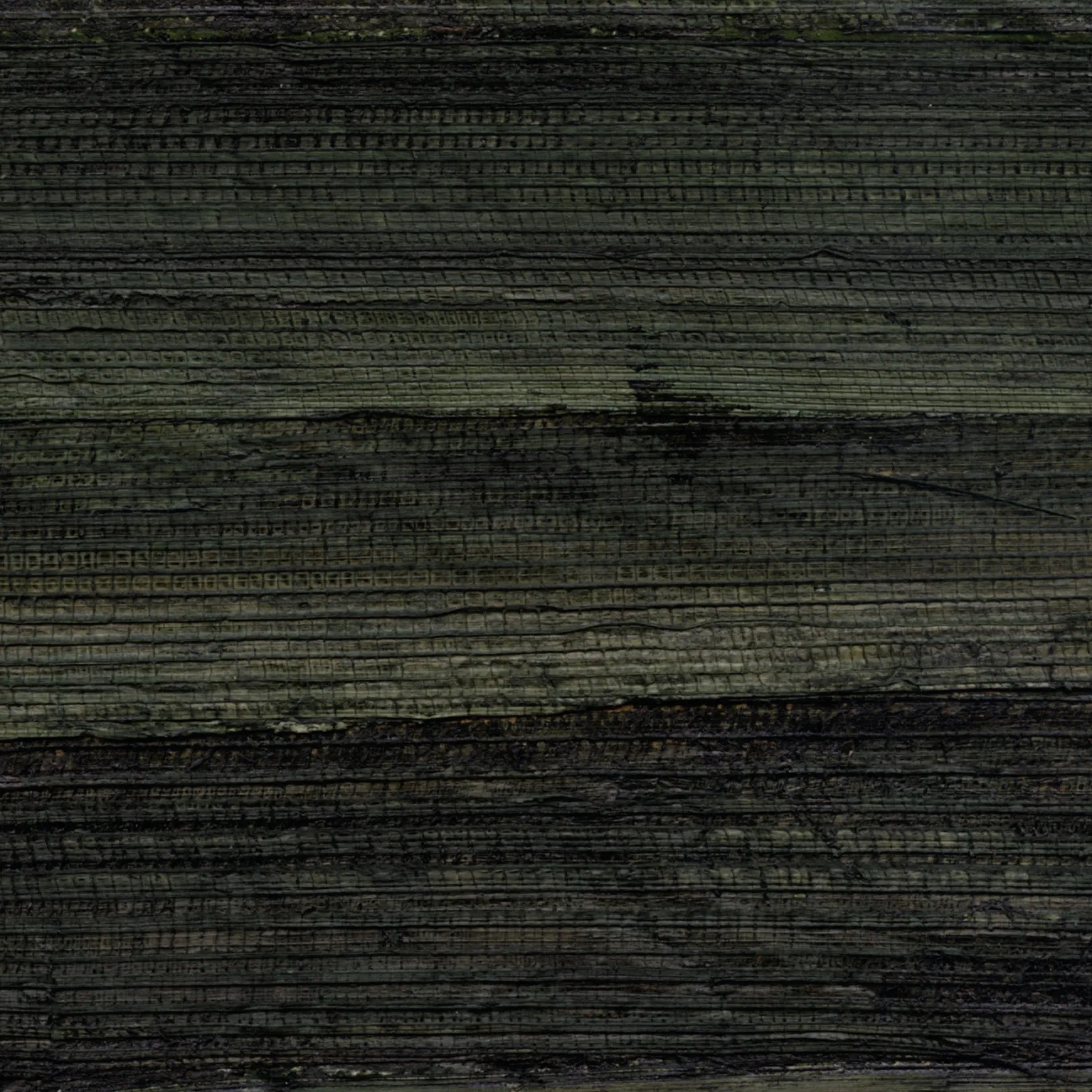 Обои для стен CMO Paris Banana Leaves WBA_01_68