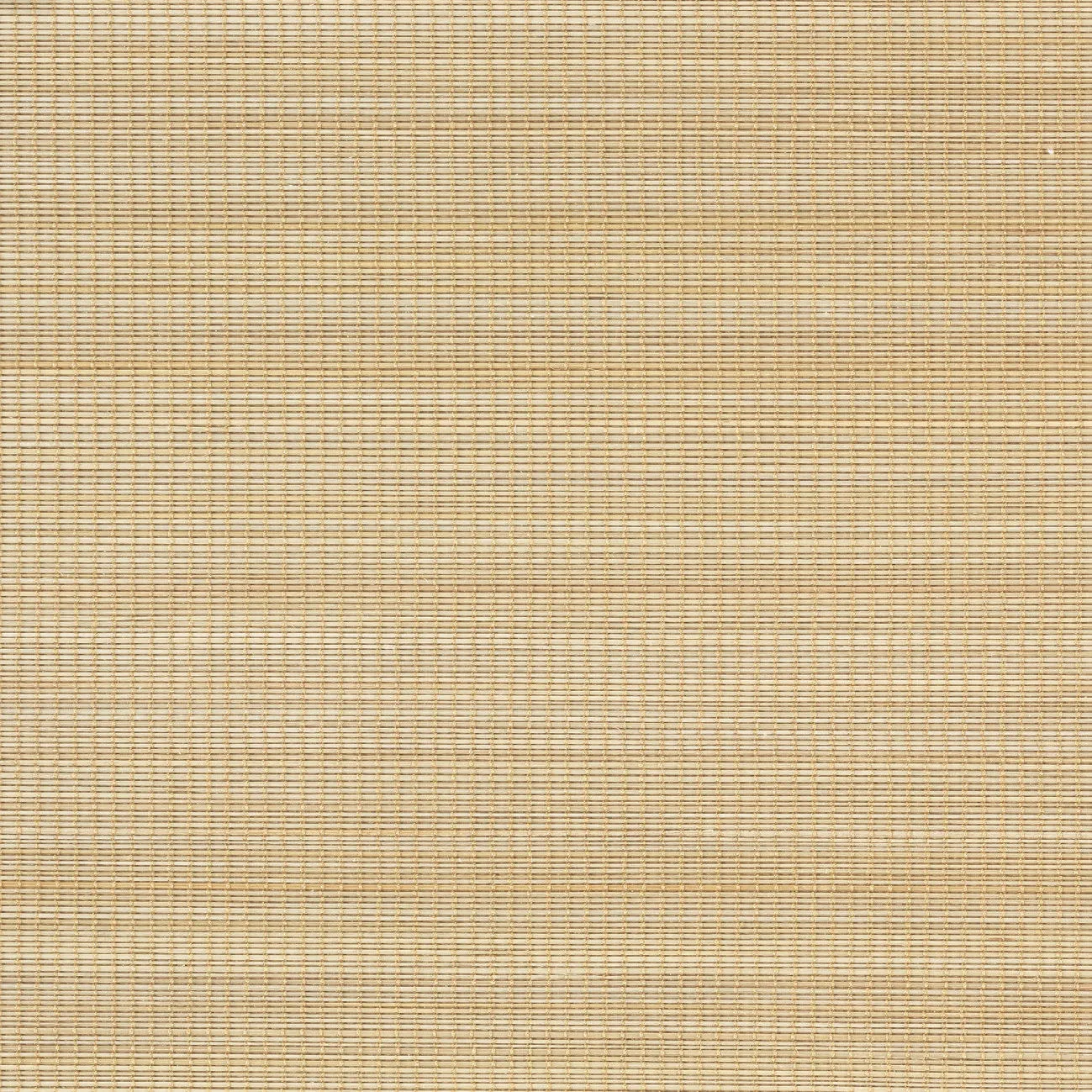 Обои для стен CMO Paris Palm Tree WPA_06_10