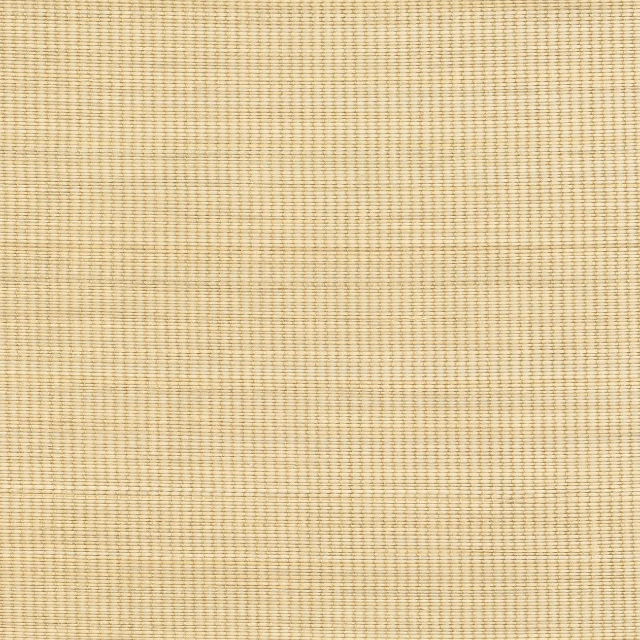 Обои для стен CMO Paris Palm Tree WPA_06_15