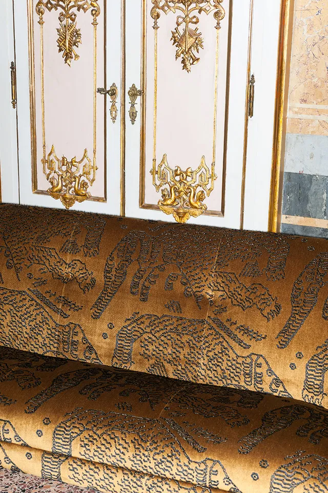 Ткань Dedar Tiger Mountain T18015_002 #2