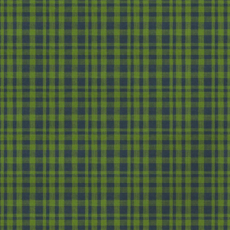 Ткань Gaston Y Daniela Maiorica drach_verde_cuadros