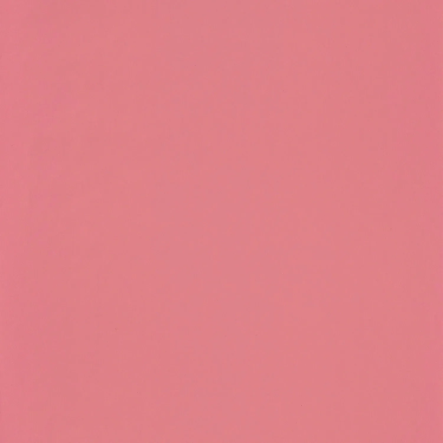 Обои для стен Casadeco Rose & Nino 69864600