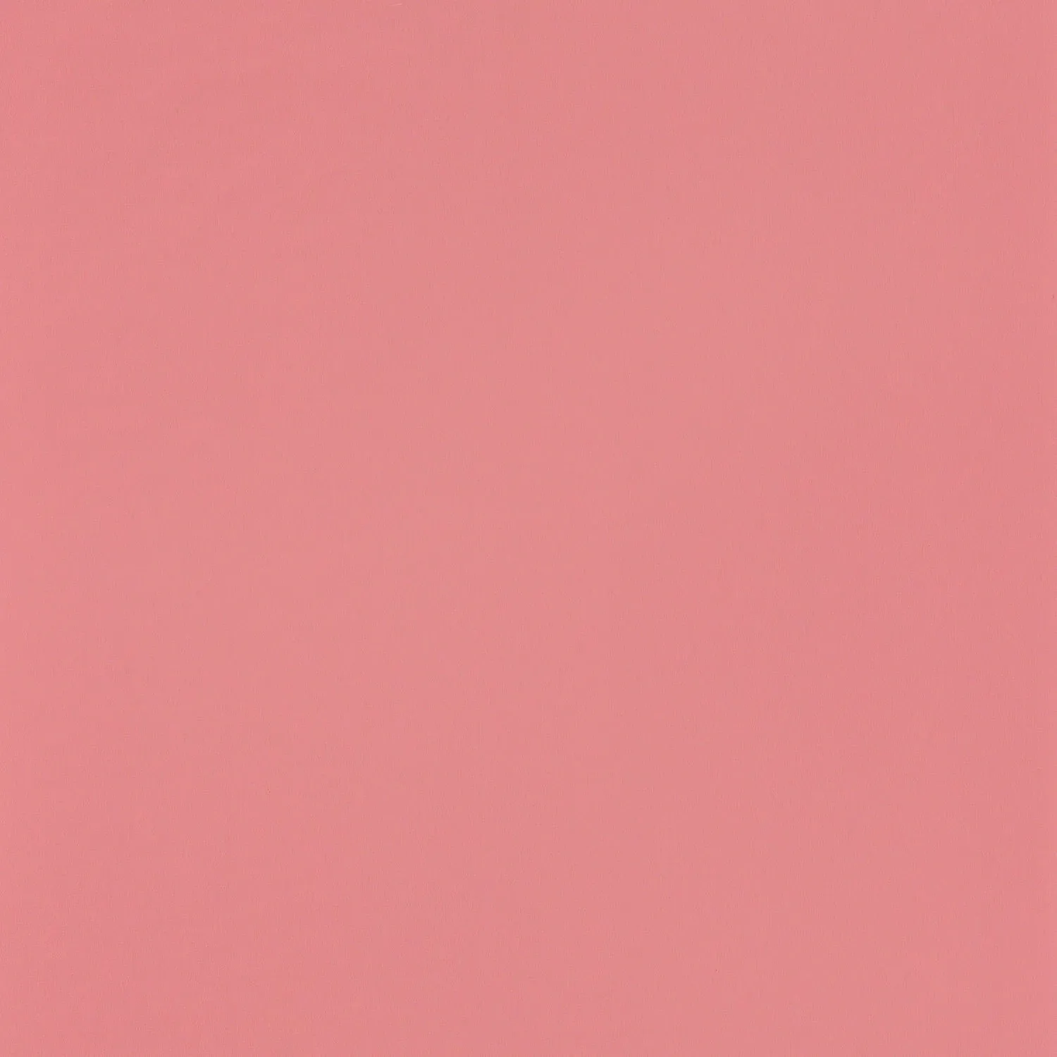 Обои для стен Casadeco Rose & Nino 82913401