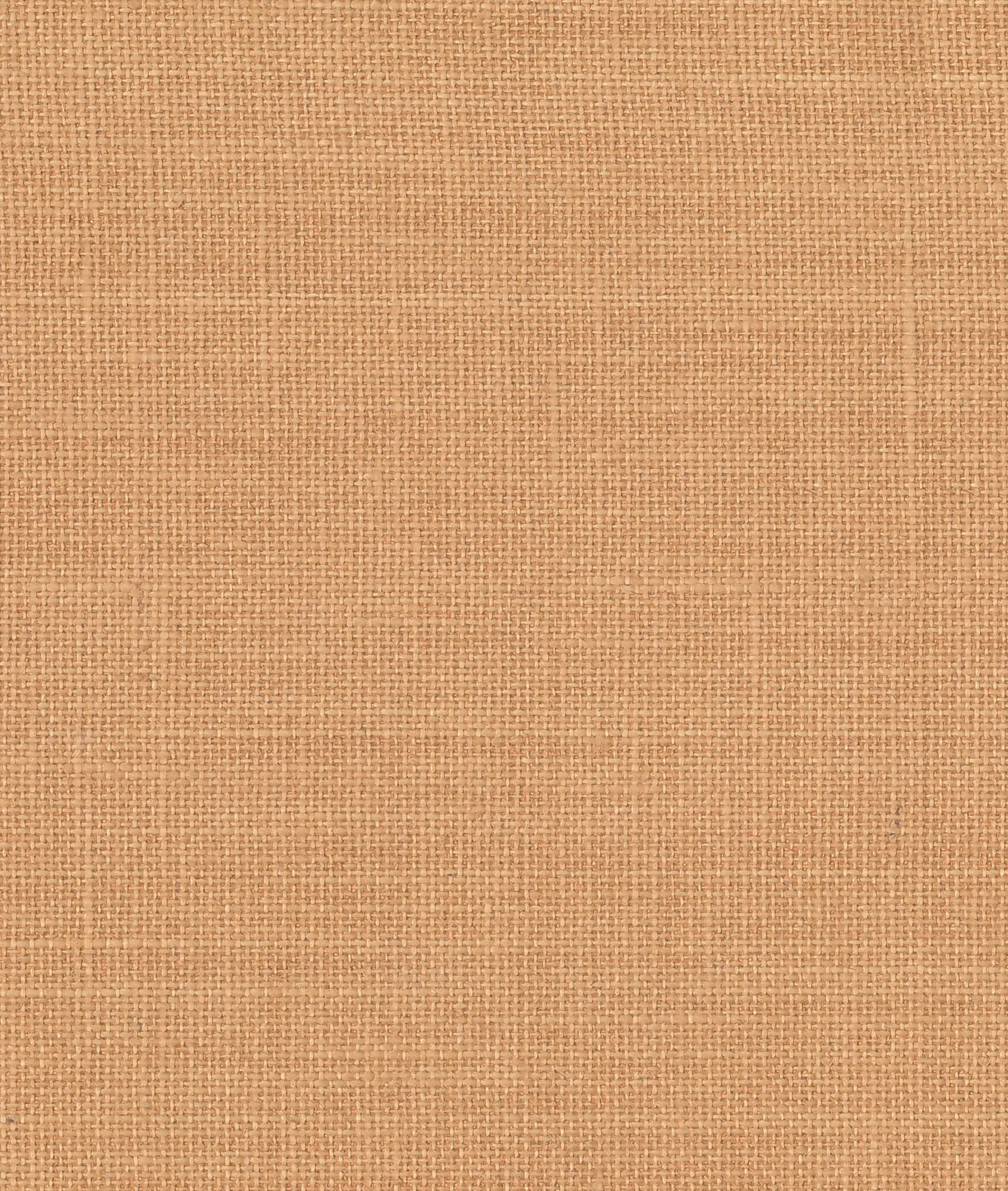 Обои для стен Dedar Toile Bache D22007_008 #1