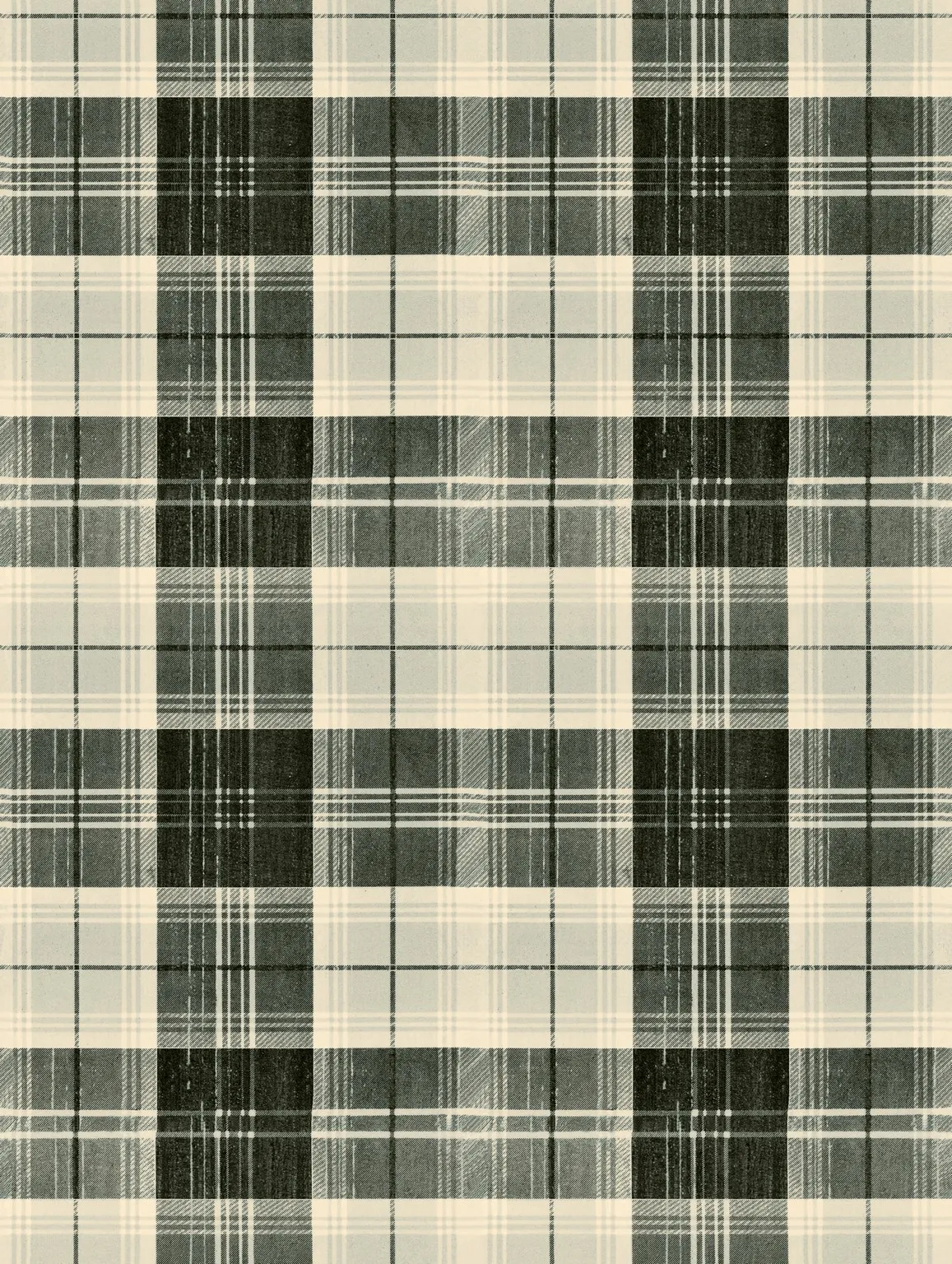 Обои для стен Mindthegap Transylvanian Roots WP30011