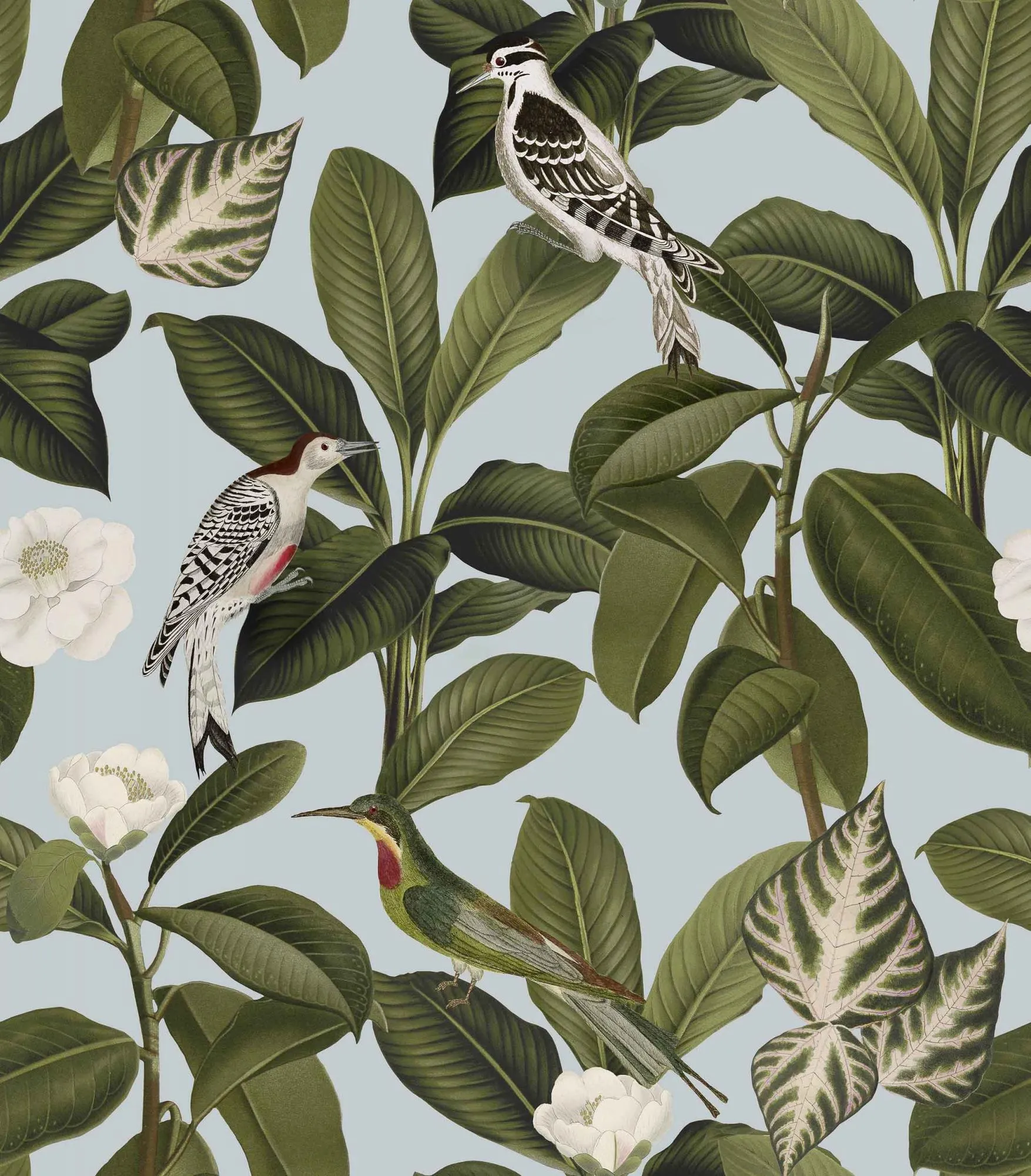 Обои для стен Coordonne Feria A00206