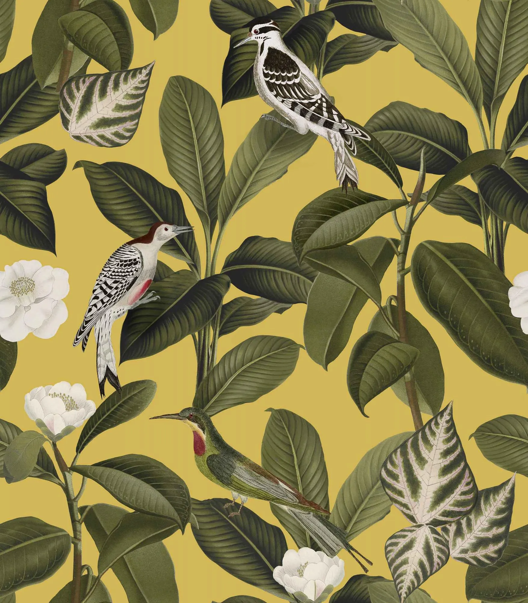 Обои для стен Coordonne Feria A00208