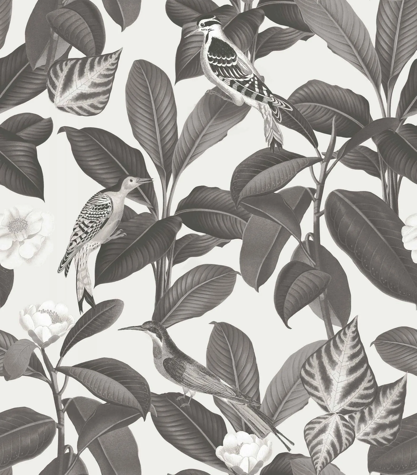 Обои для стен Coordonne Feria A00209