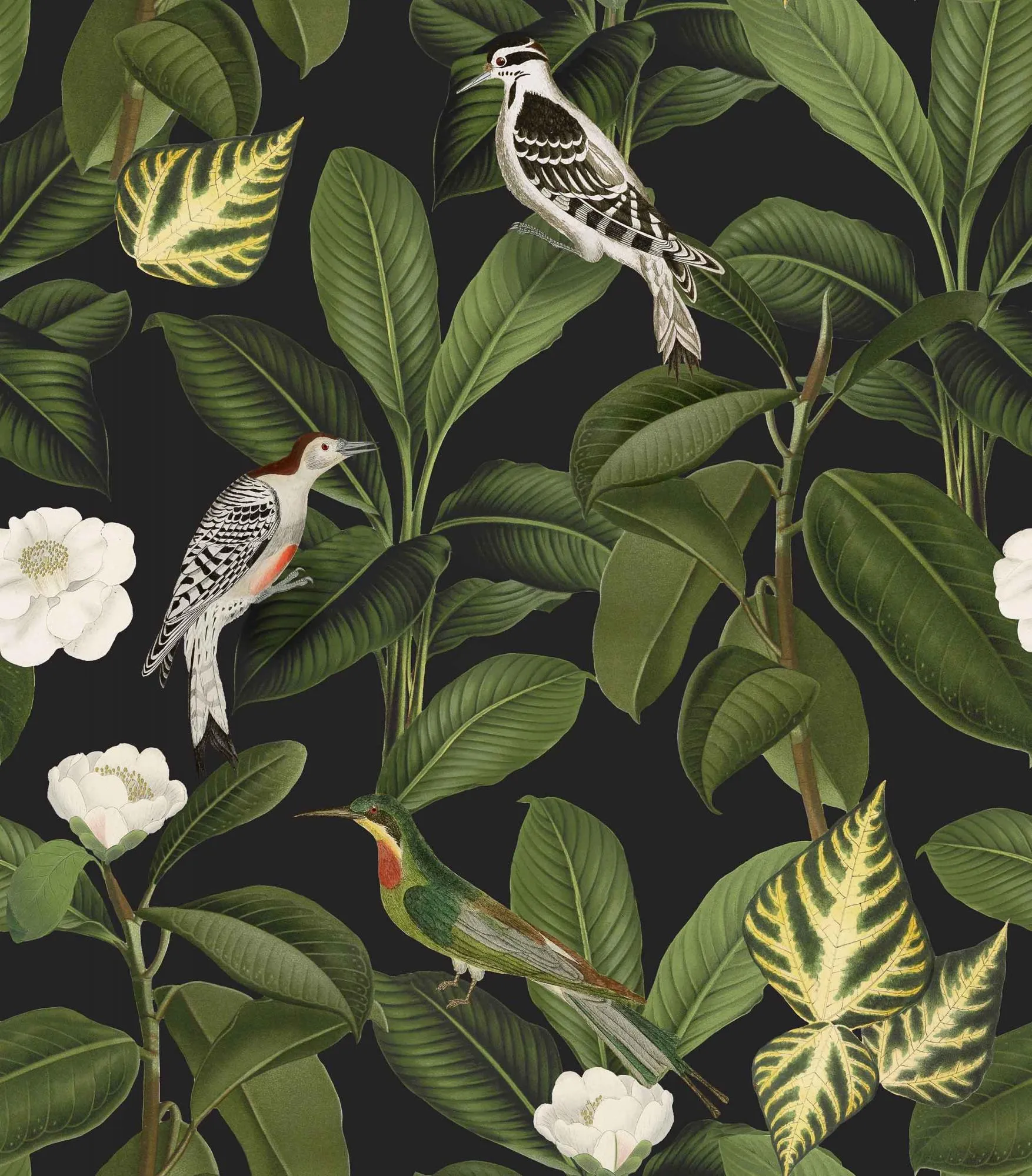 Обои для стен Coordonne Feria A00210