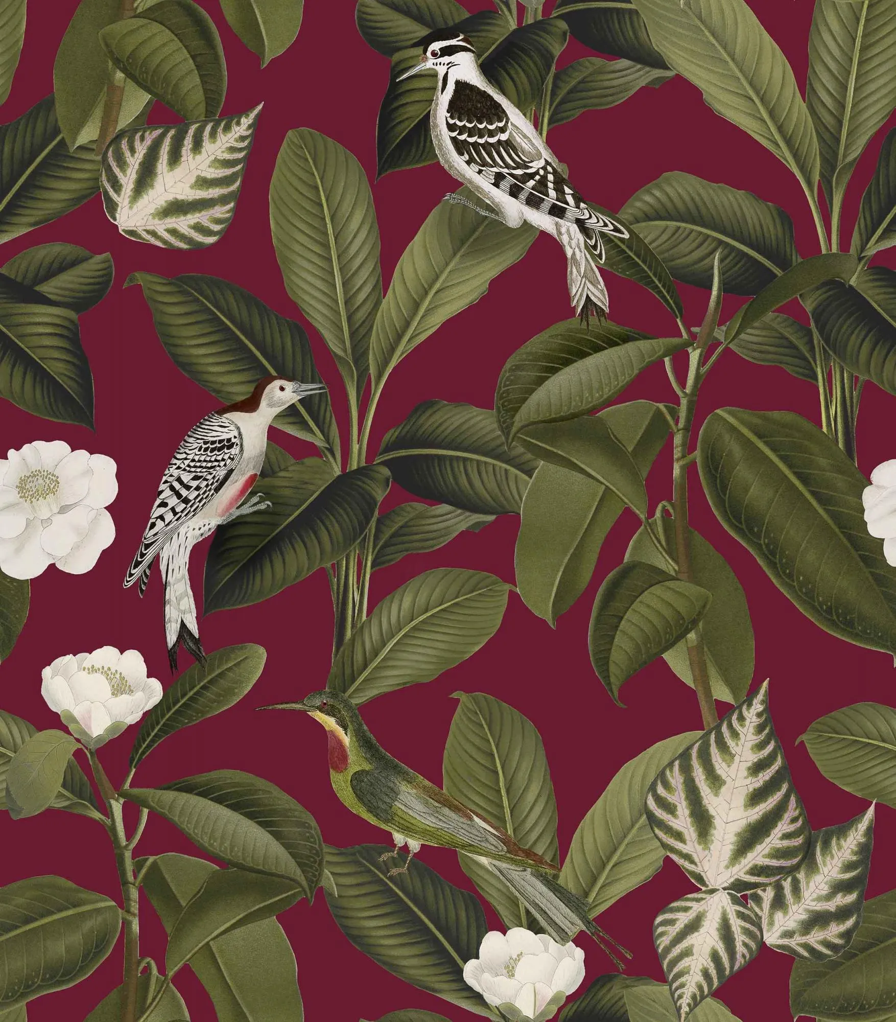 Обои для стен Coordonne Feria A00211