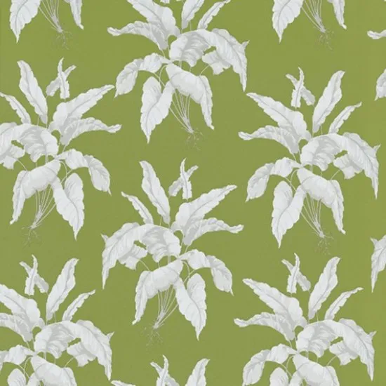 Обои для стен Equipo DRT Encadenados EQ-17983