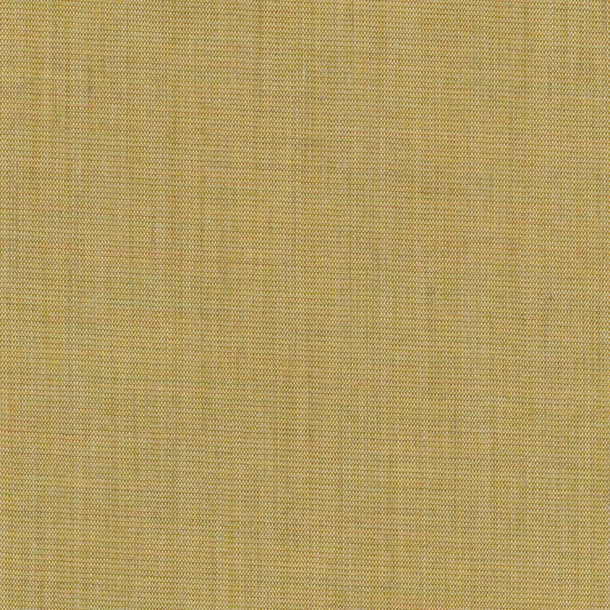 Ткань Kvadrat Canvas by Giulio Ridolfo 1221-0414
