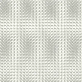 Обои для стен Paper & Ink Natural Silhouettes ns51208