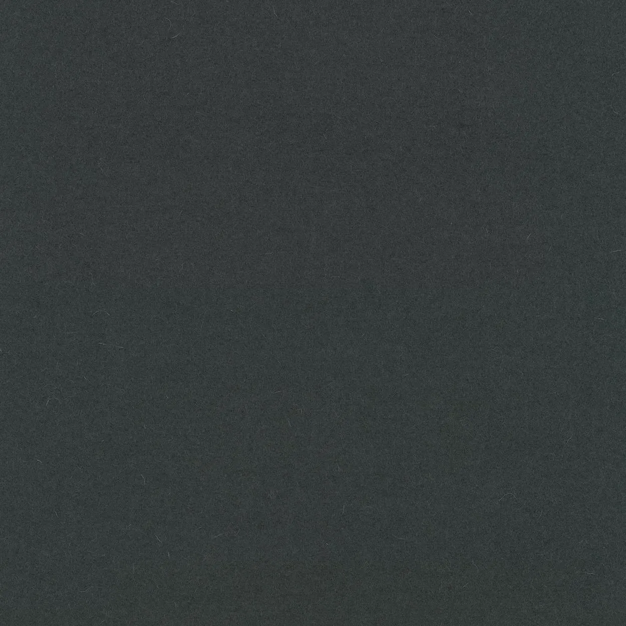 Ткань Kvadrat Divina by Finn Skodt 1200-0181