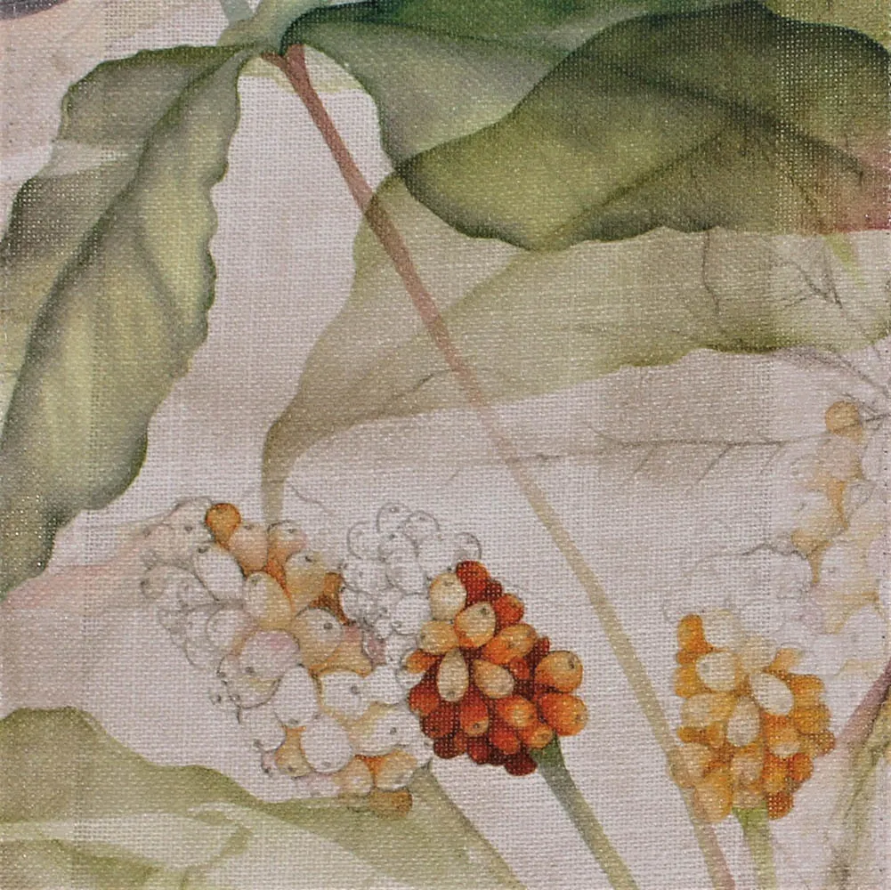 Ткань Foresti Home Collection Collection September 2022 E4132-01