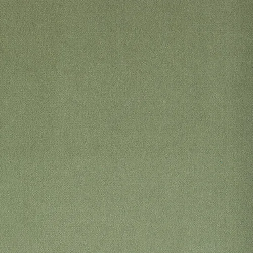 Ткань Foresti Home Collection Velluto di cotone Zeus E2054-326