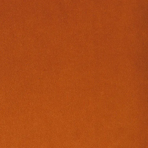 Ткань Foresti Home Collection Velluto di cotone Zeus E2054-520