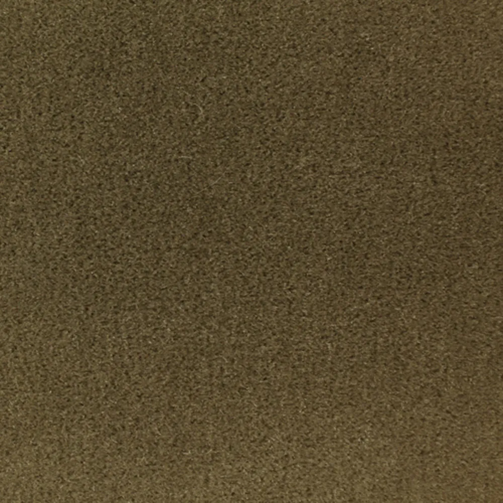 Ткань Foresti Home Collection Velluto Mohair E2055-344