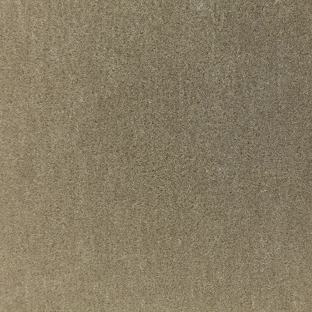 Ткань Foresti Home Collection Velluto Mohair E2055-760