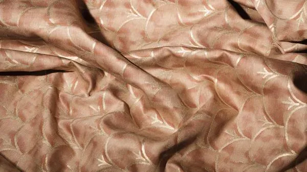 Ткань Fortuny Wake Into The Dream 5932_01