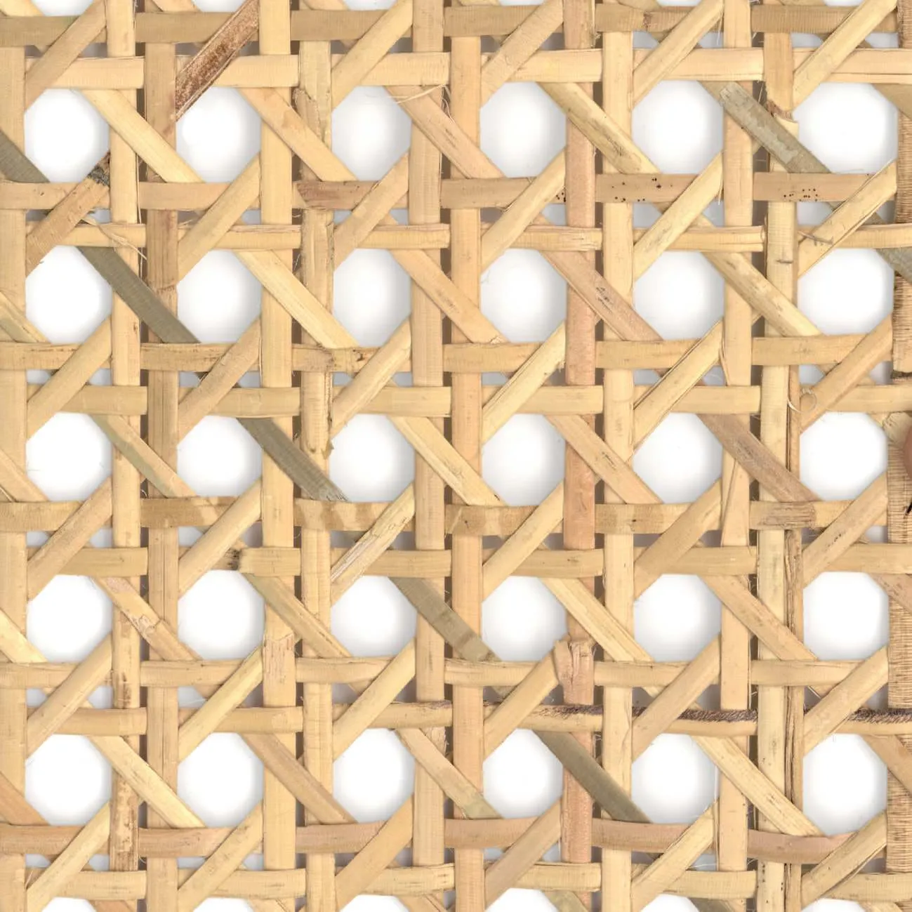 Ткань CMO Paris Braided Palm Tree CMO_FRO_02_20