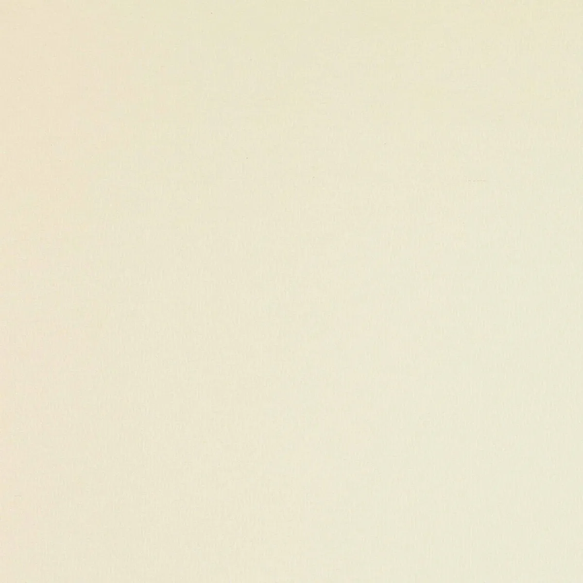 Ткань Manuel Canovas Hansa 04936-02