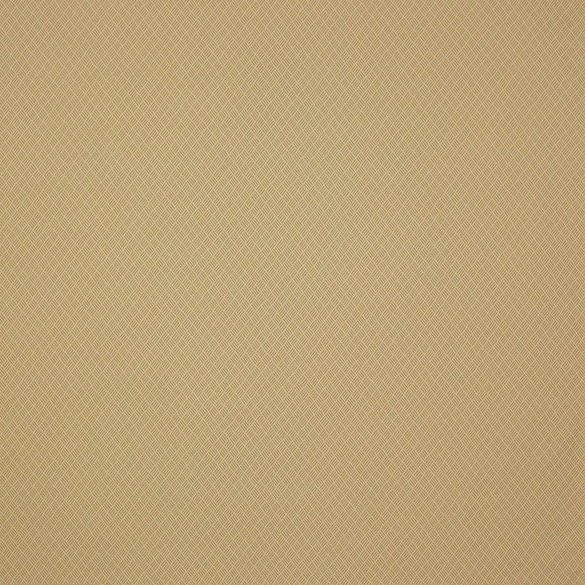 Ткань Manuel Canovas Malfa 04891-01