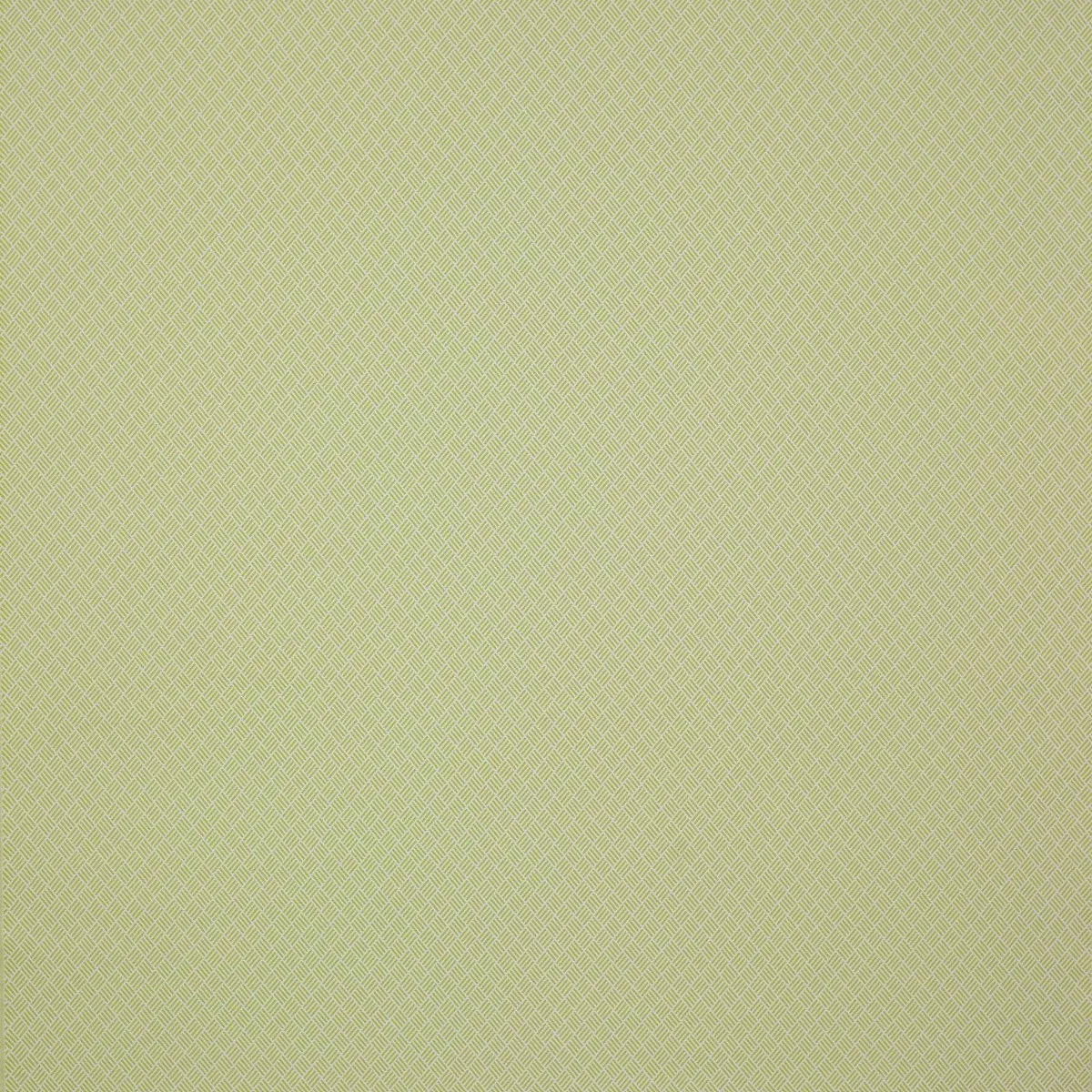 Ткань Manuel Canovas Malfa 04891-05