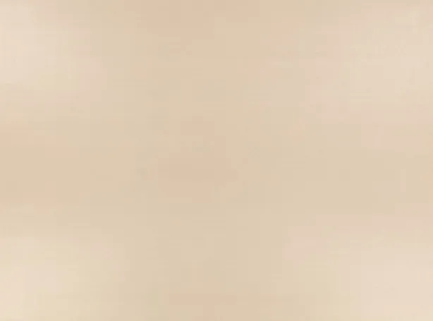 Обои для стен Zinc Caractere Wallcoverings ZW141-03