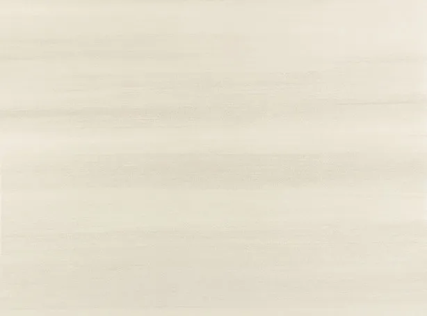 Обои для стен Zinc Caractere Wallcoverings ZW142-01