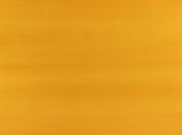 Обои для стен Zinc Caractere Wallcoverings ZW142-09