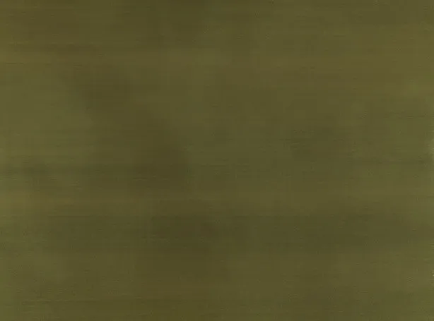 Обои для стен Zinc Caractere Wallcoverings ZW142-10