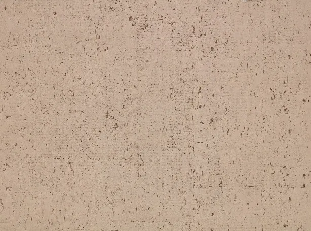 Обои для стен Zinc Caractere Wallcoverings ZW144-05