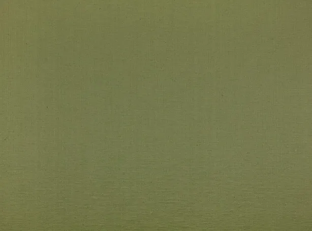 Ткань Zinc Jacopo II Z719-09