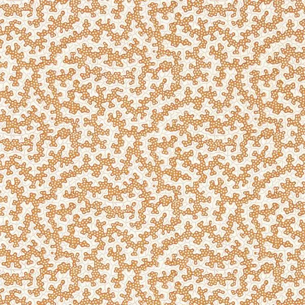 Обои для стен Sanderson Arboretum 217242